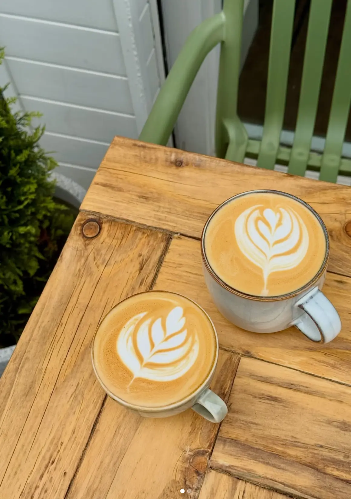 Two cups of coffee with rosetta latte art on a light wooden table